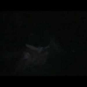 Meet your Posher, Frankie